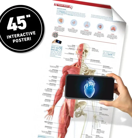 Abacus | Virtual Reality Gift Box | Human Body