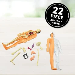 Abacus | Virtual Reality Gift Box | Human Body