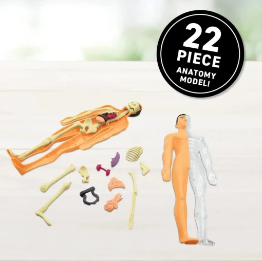 Abacus | Virtual Reality Gift Box | Human Body