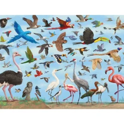 All the Birds Puzzle 1000 Pieces