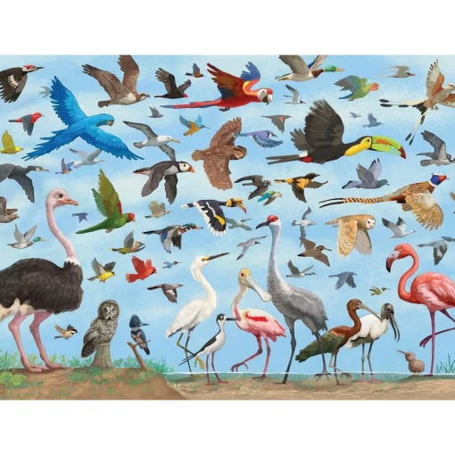 All the Birds Puzzle 1000 Pieces