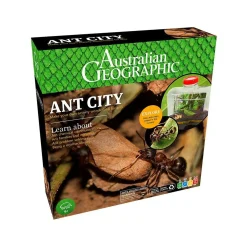 Ant City
