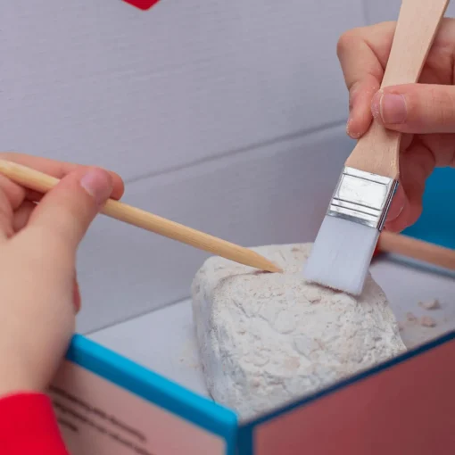 Arkerobox Acropolis Excavation Kit