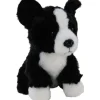 Bandit the Border Collie