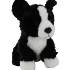 Bandit the Border Collie