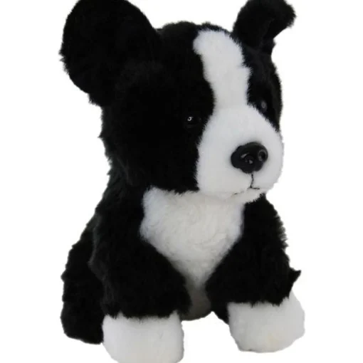 Bandit the Border Collie