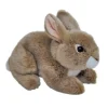 Bunny Thumper