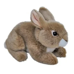 Bunny Thumper