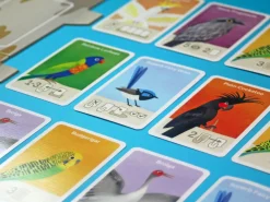 Busy Beaks