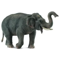 CollectA | Asian Elephant (XL)