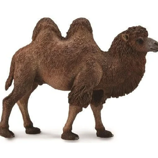 CollectA | Bactrian Camel (L)