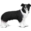 CollectA | Border Collie (M)