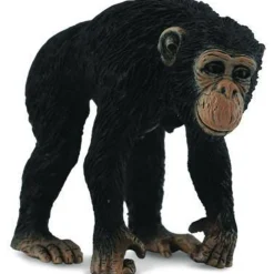 CollectA | Chimpanzee Female (M)