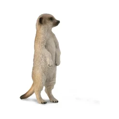 CollectA | Meerkat (S)