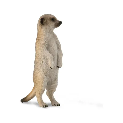 CollectA | Meerkat (S)