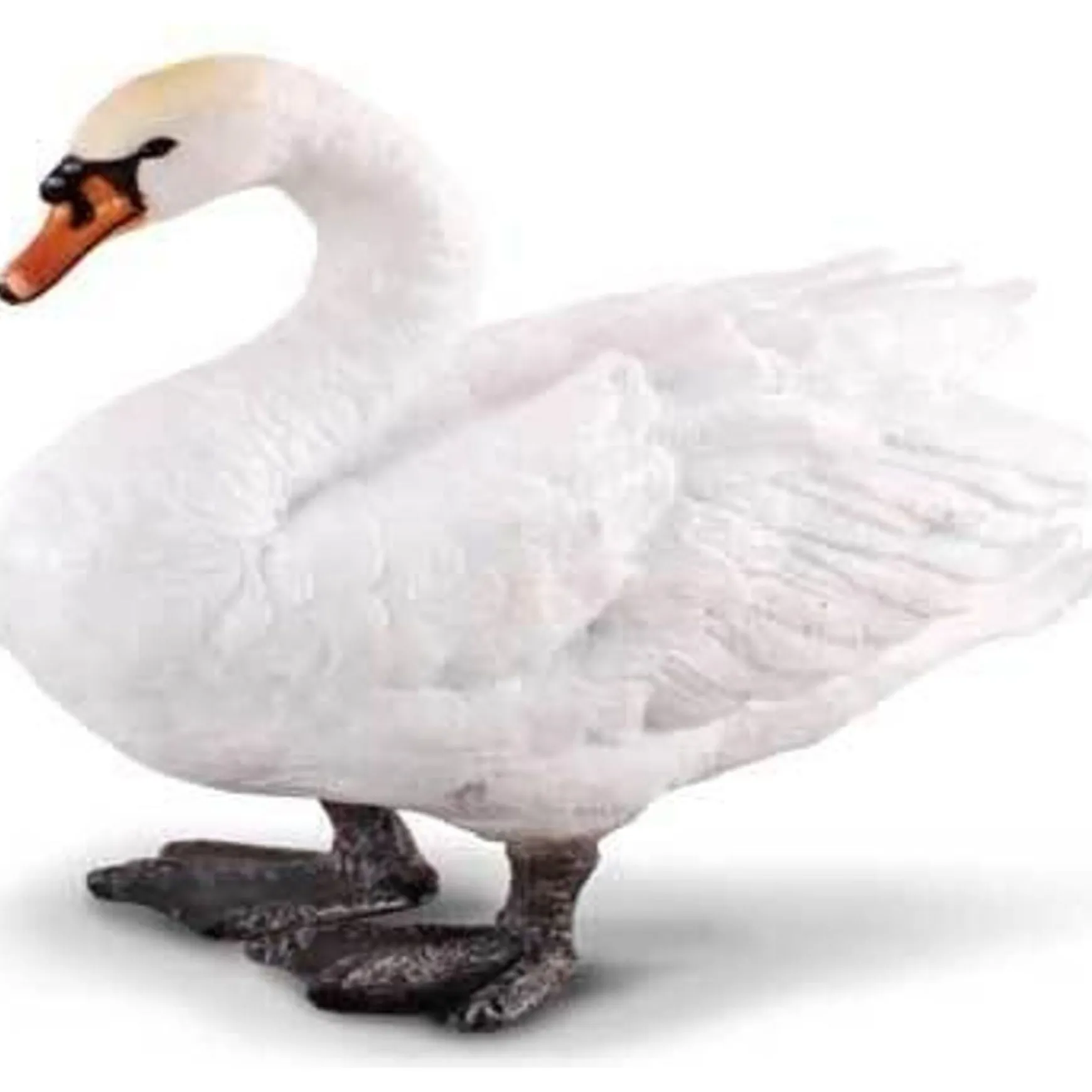 CollectA | Mute Swan (M)