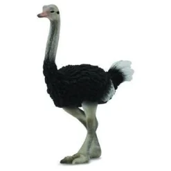 CollectA | Ostrich (L)