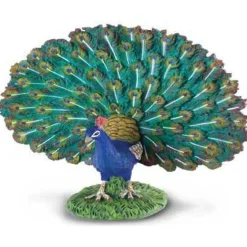 CollectA | Peacock (L)
