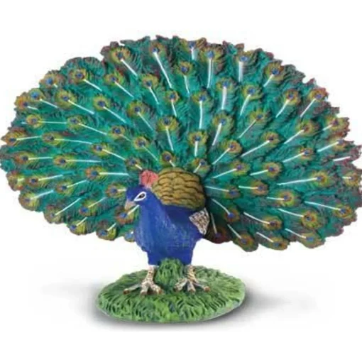 CollectA | Peacock (L)