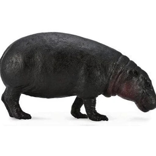 CollectA | Pygmy Hippopotamus (L)