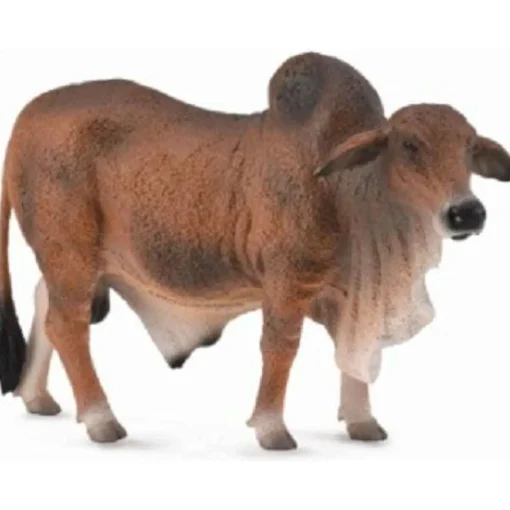 CollectA | Red Brahman Bull (L)