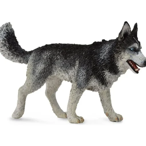 CollectA | Siberian Husky (L)