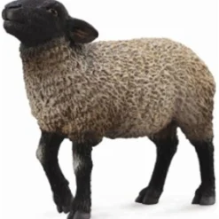 CollectA | Suffolk Sheep (M)