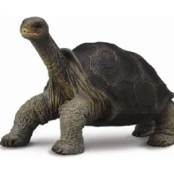 CollectA | Tortoise Pinta Island (M)