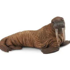 CollectA | Walrus (L)