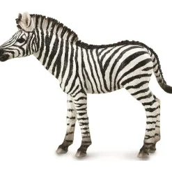 CollectA | Zebra Foal (M)