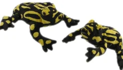 Corroboree Frog (18cm)