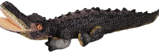 Crocodile Cassius 75cm Long