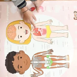 Discovery Stickers - Human Body
