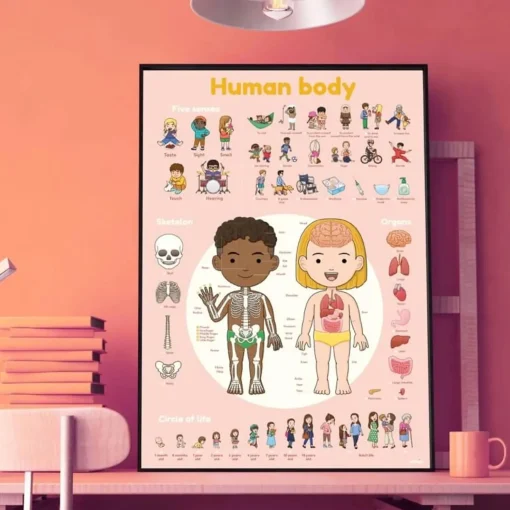 Discovery Stickers - Human Body