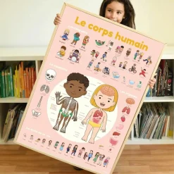 Discovery Stickers - Human Body
