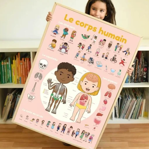 Discovery Stickers - Human Body