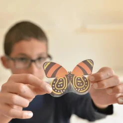 Discovery Stickers - Insects