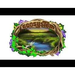 Ecosystem
