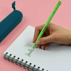 Erasable Pen