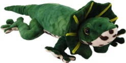 Frill Knecked Lizard