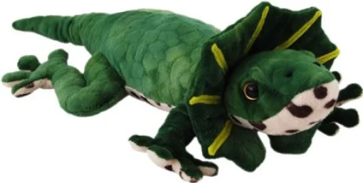 Frill Knecked Lizard