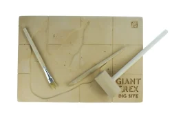 Giant T-Rex Dig Site
