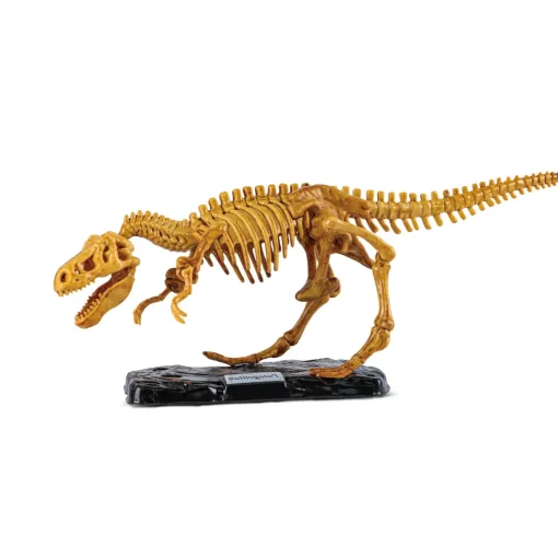 Giant T-Rex Dig Site
