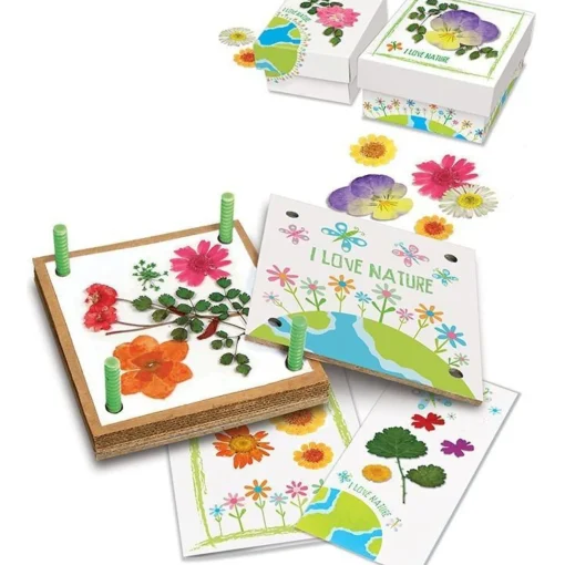 Green Science: Pressed Flower Art