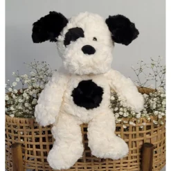 Harry the Black and Cream Dog