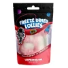 Heebie Jeebies | Freeze Dried Watermelon Lollies | Mini