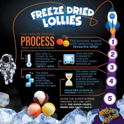 Heebie Jeebies | Freeze Dried Skittles Lollies | Mini