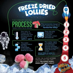 Heebie Jeebies | Freeze Dried Watermelon Lollies | Mini