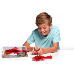 Hexbug | Dragon