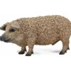 Hungarian Pig (M)